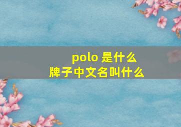 polo 是什么牌子中文名叫什么